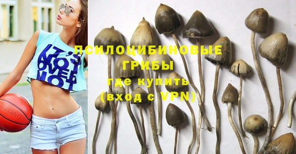 амфетамин Алексеевка