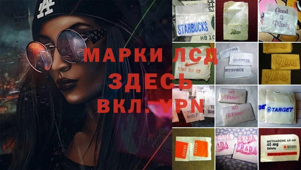 PSILOCYBIN Алзамай