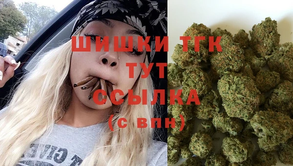 PSILOCYBIN Алзамай