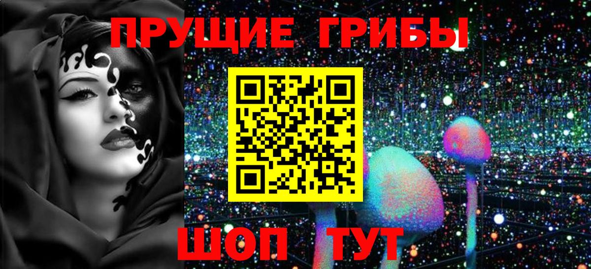 Галлюциногенные грибы Psilocybe Сибай